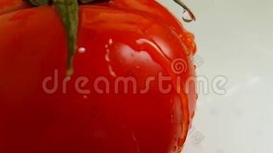 番茄成熟维生素原纯<strong>净水</strong>浇维生素慢镜头拍摄，湿刺